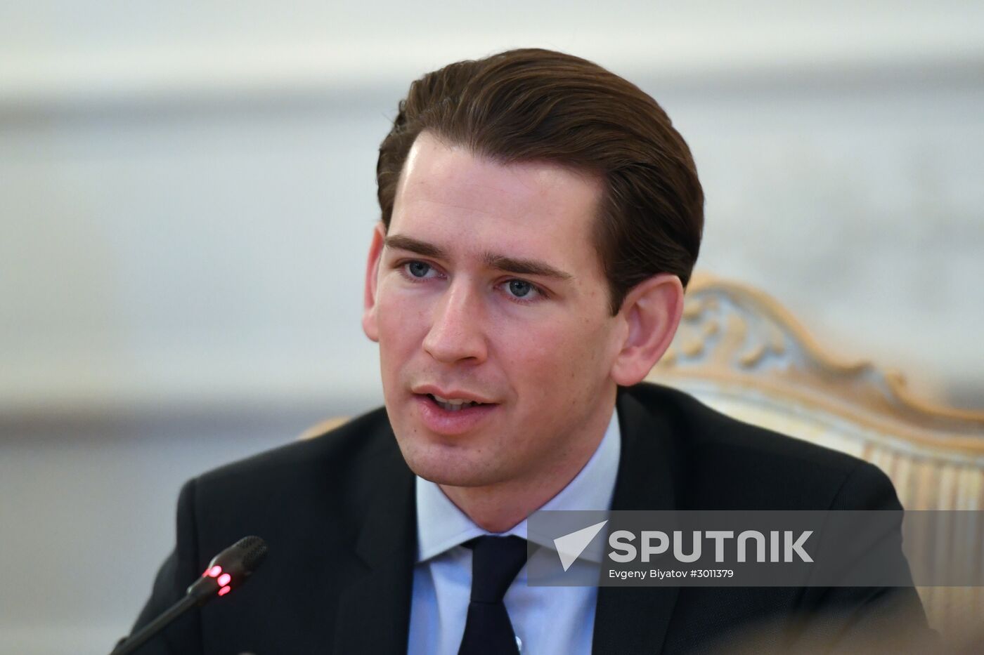 Meeting between foreign ministers of Russia and Austria