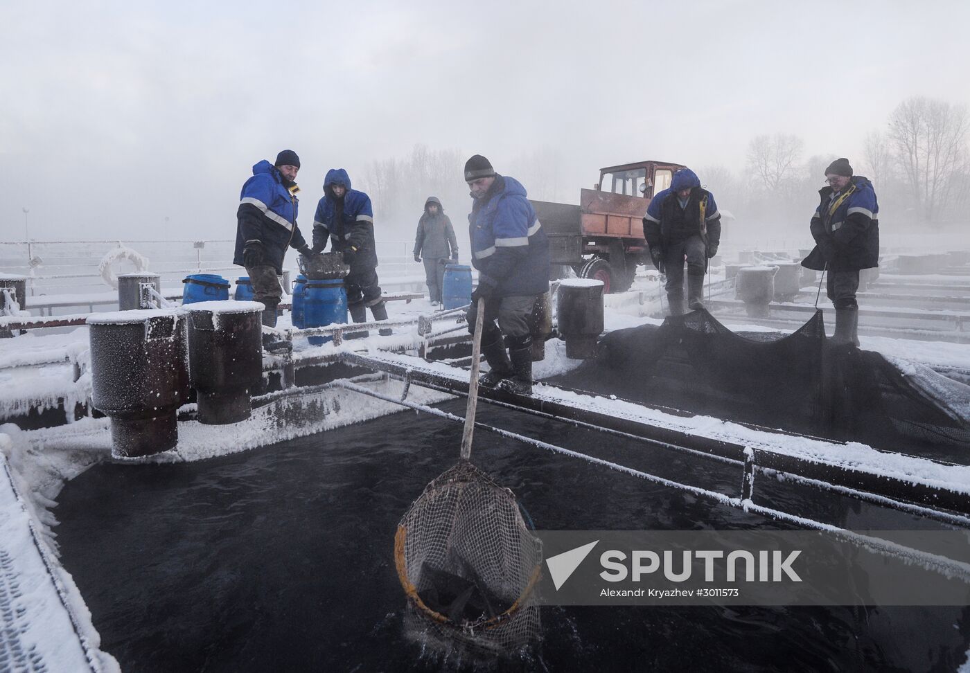 Fish farm in Krasnoyarsk Territory