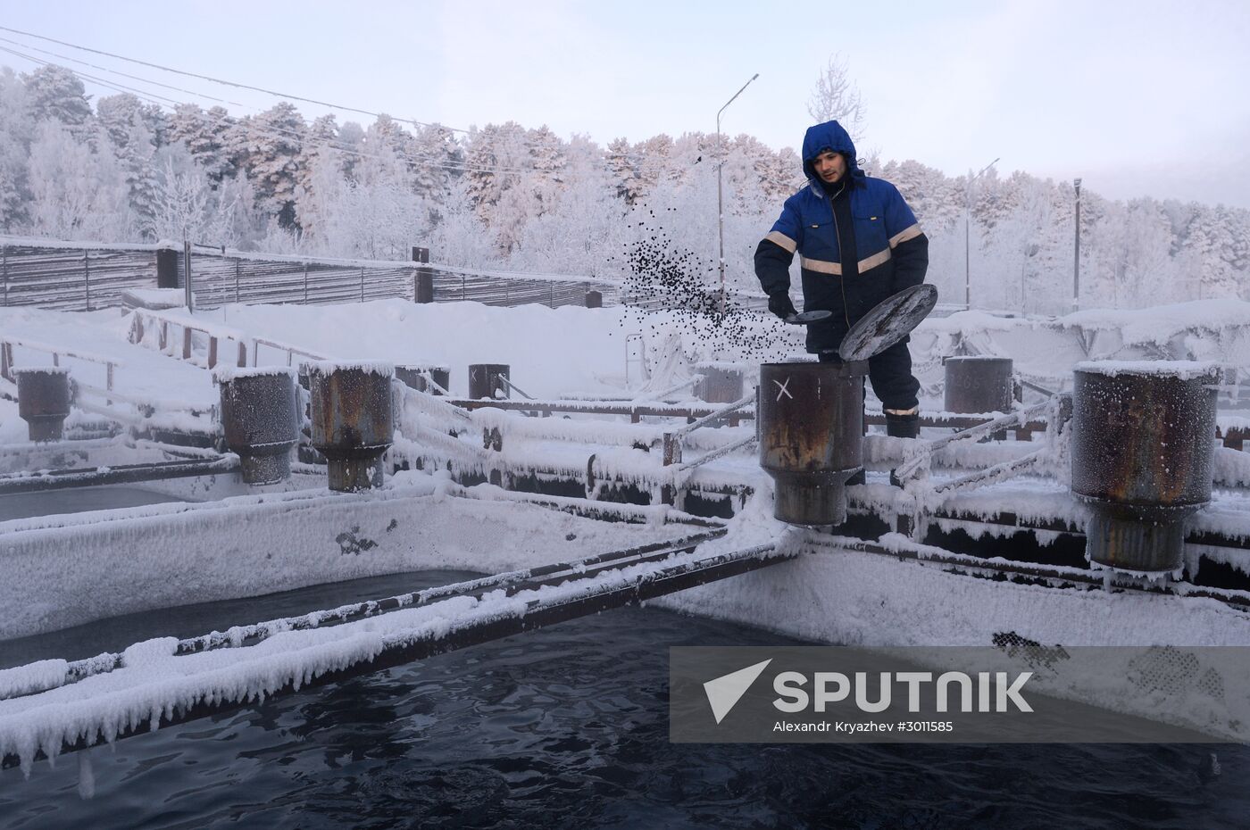 Fish farm in Krasnoyarsk Territory