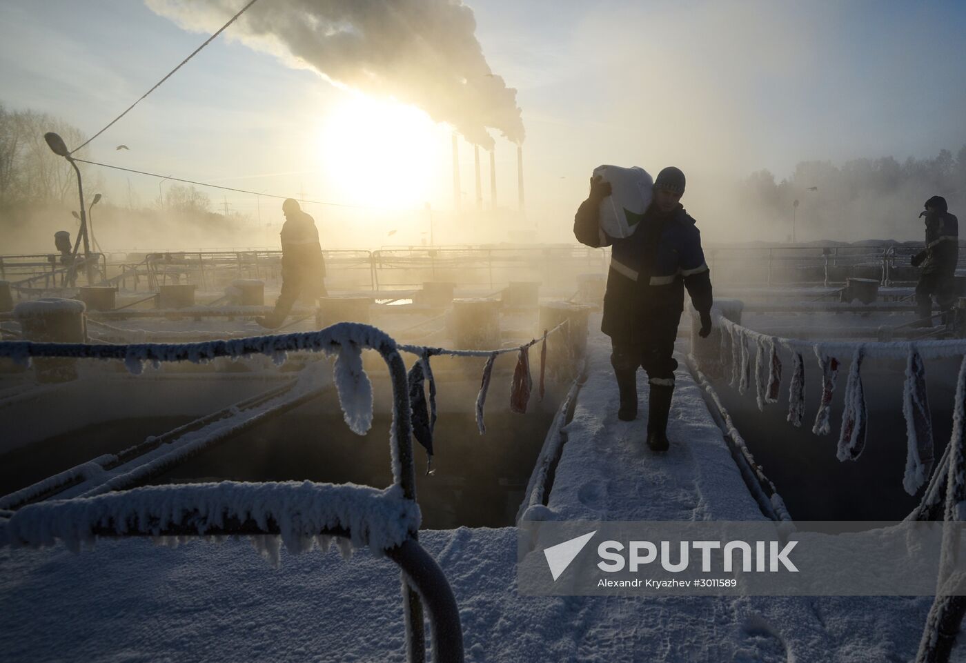 Fish farm in Krasnoyarsk Territory