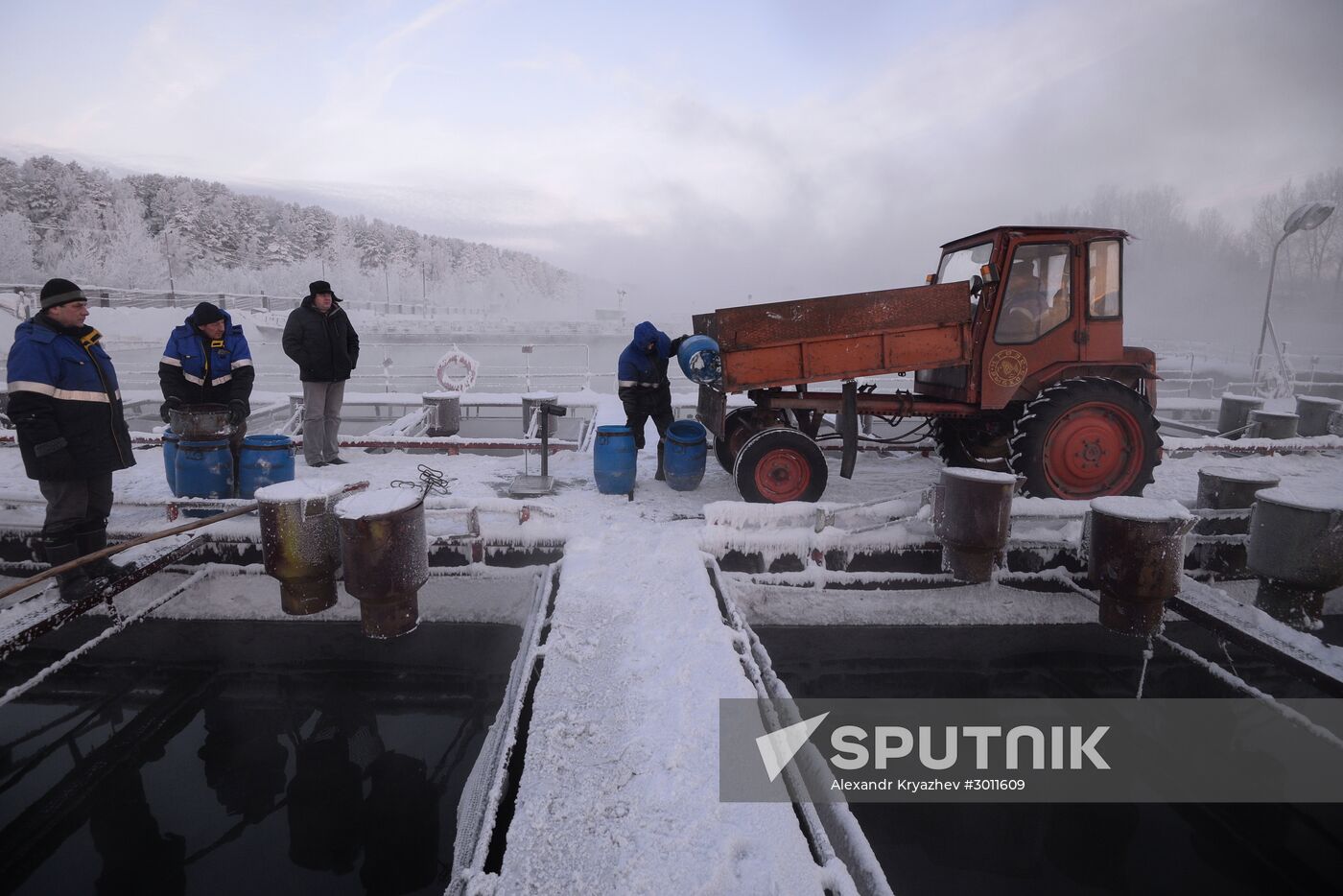 Fish farm in Krasnoyarsk Territory