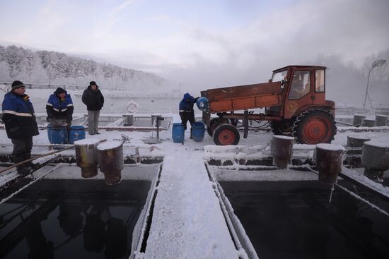 Fish farm in Krasnoyarsk Territory