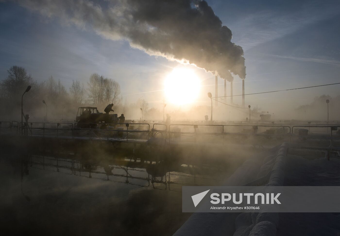 Fish farm in Krasnoyarsk Territory