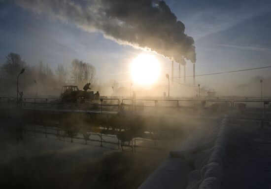 Fish farm in Krasnoyarsk Territory