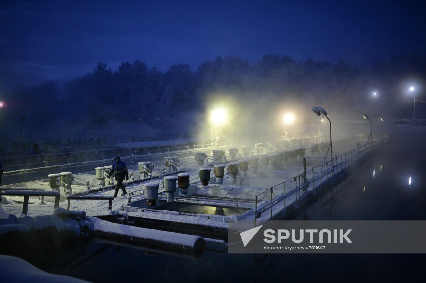 Fish farm in Krasnoyarsk Territory