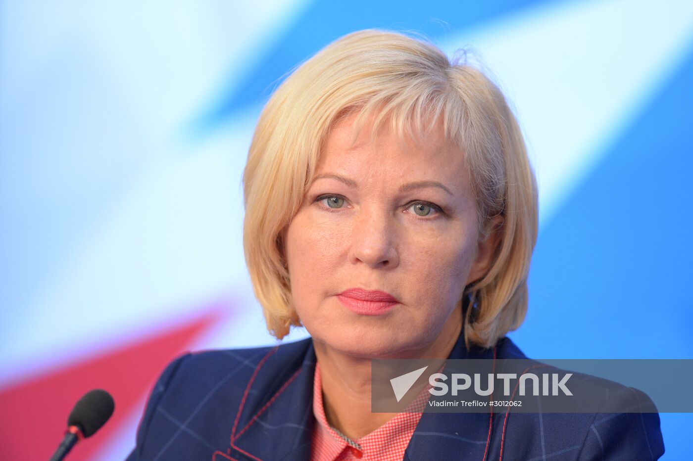 News conference "Strategic Development of Russian Consumer Industry"