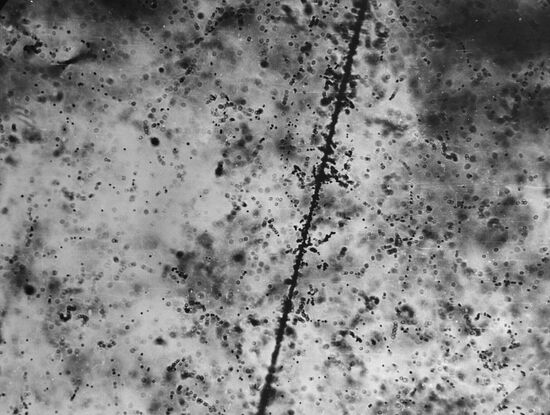 Primary cosmic ray track