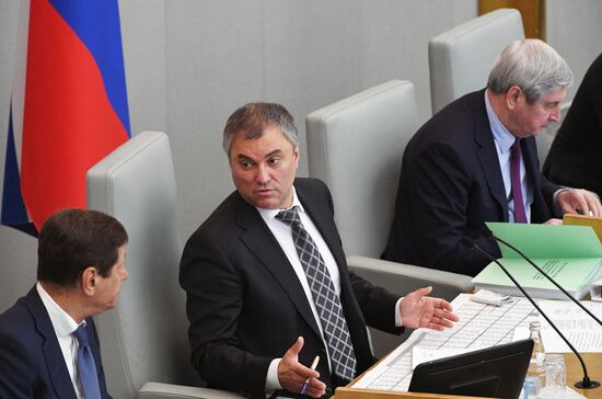 State Duma plenary meeting