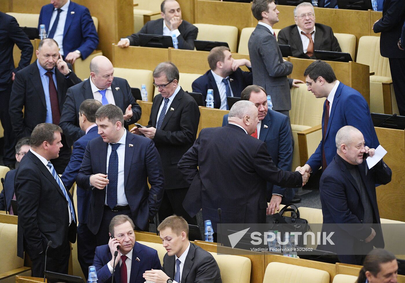 State Duma plenary meeting