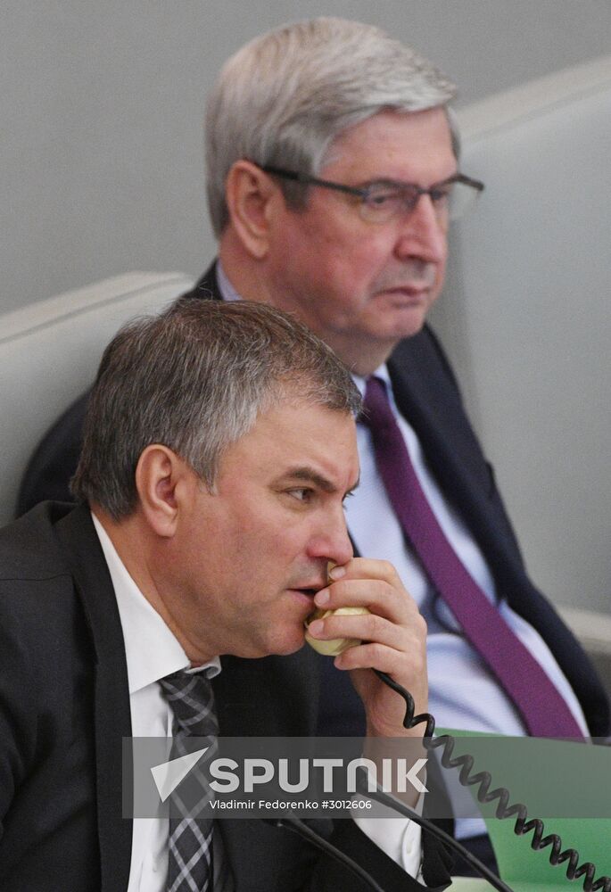 State Duma plenary meeting