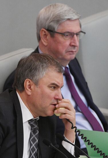 State Duma plenary meeting