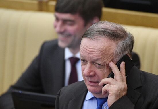 State Duma plenary meeting