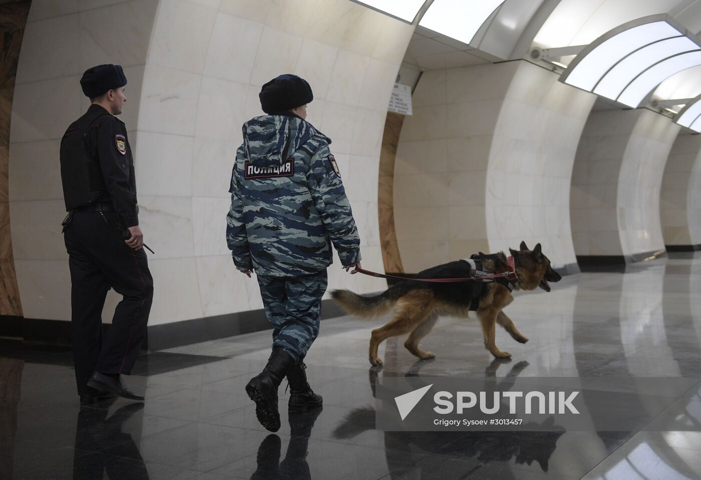 Moscow metro dog service center