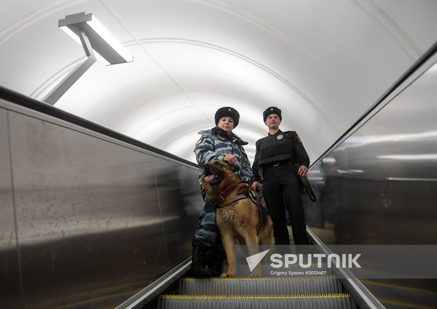 Moscow metro dog service center