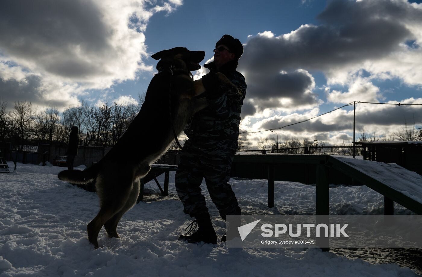 Moscow metro dog service center