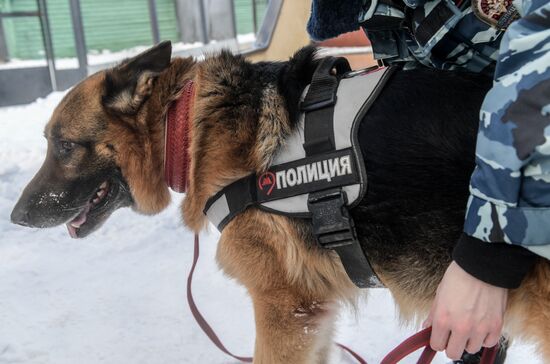 Moscow metro dog service center