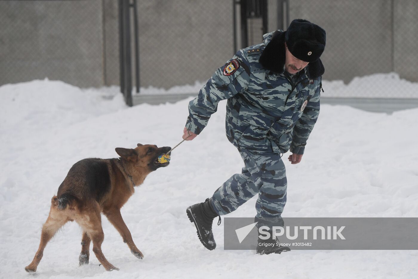Moscow metro dog service center