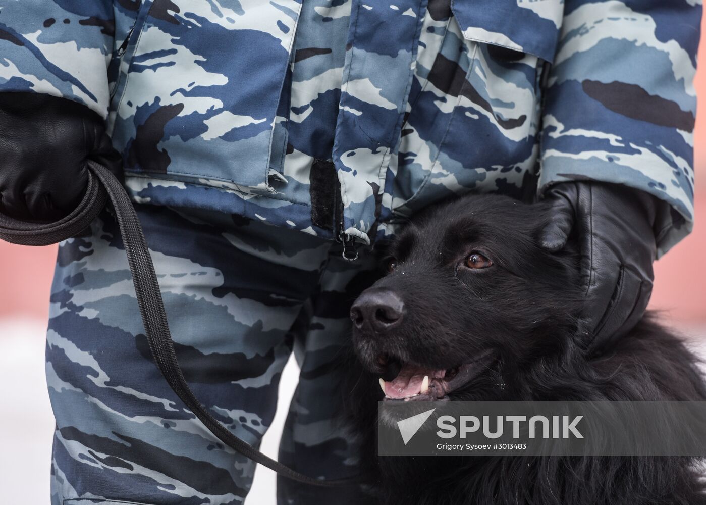 Moscow metro dog service center