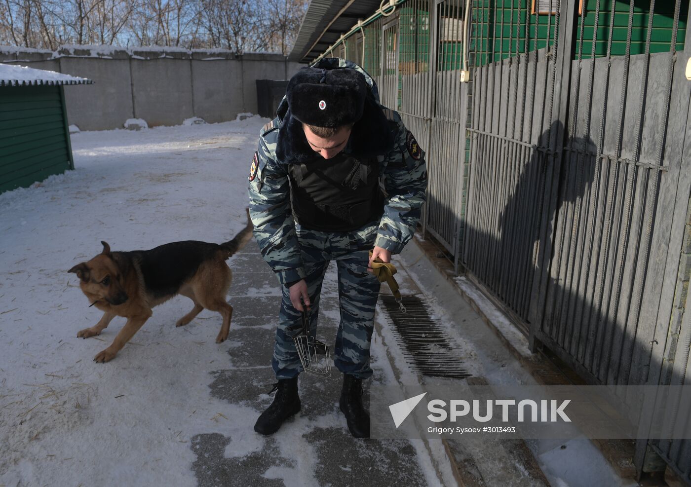 Moscow metro dog service center