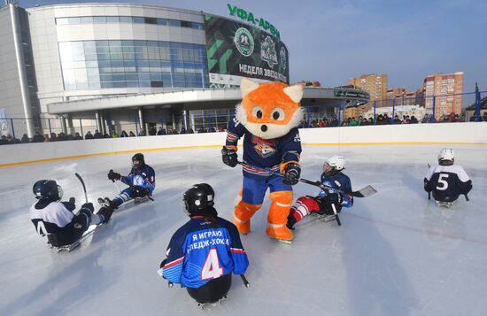 2017 Kontinental Hockey League All-Star Game. Semifinals