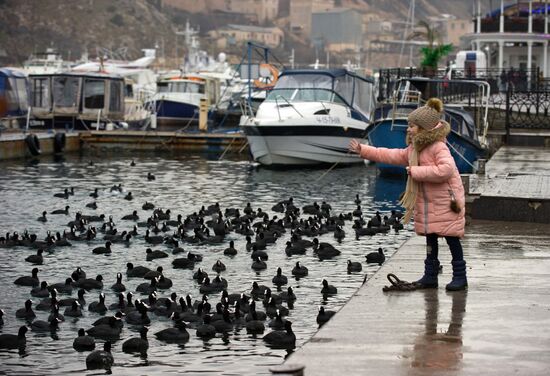 Crimea in winter
