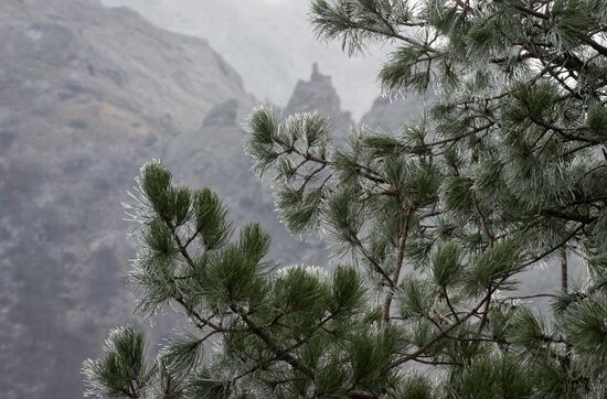 Crimea in winter