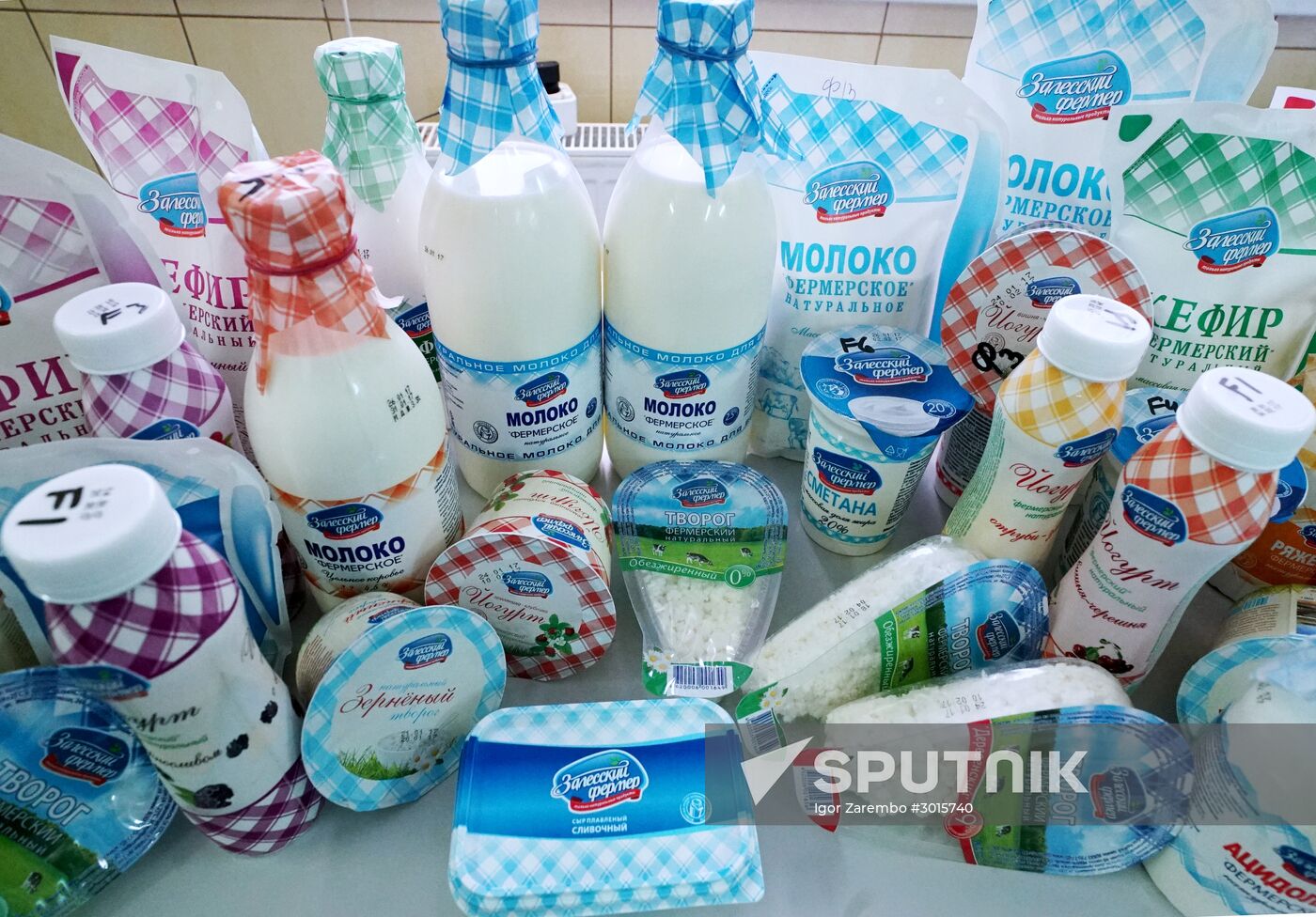 Dairy manufacturng in Kaliningrad Region