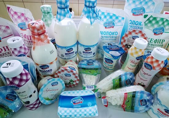 Dairy manufacturng in Kaliningrad Region