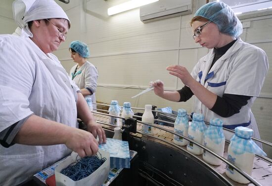 Dairy manufacturng in Kaliningrad Region