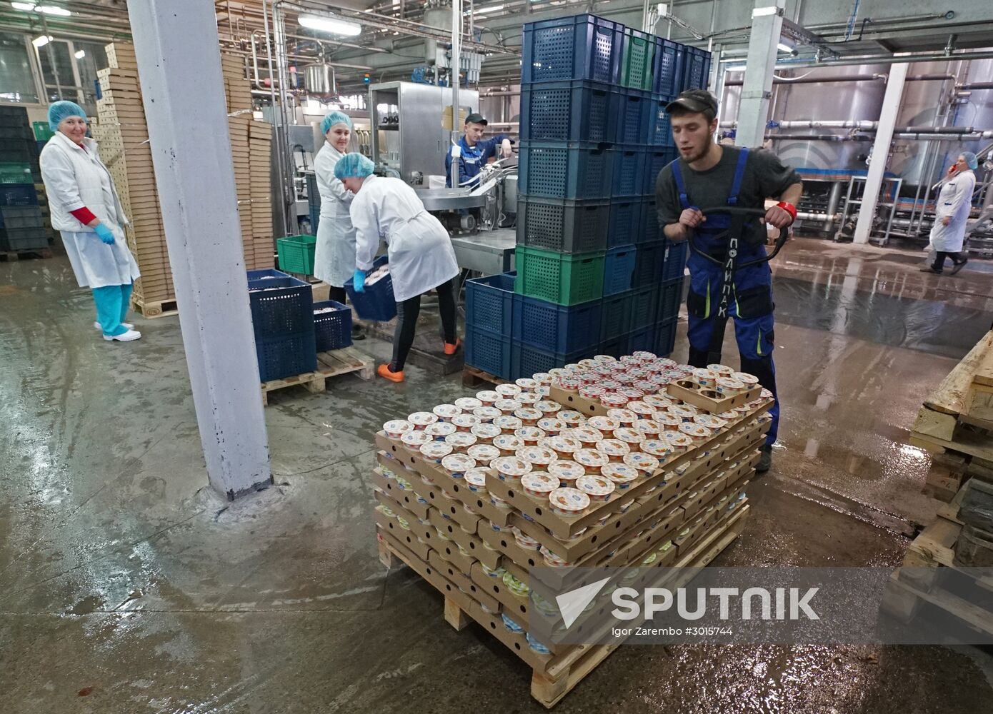 Dairy manufacturng in Kaliningrad Region