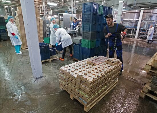 Dairy manufacturng in Kaliningrad Region