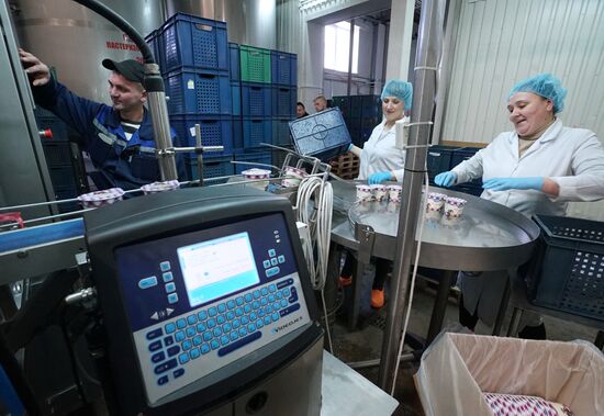 Dairy manufacturng in Kaliningrad Region