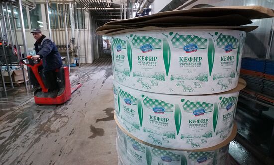 Dairy manufacturng in Kaliningrad Region