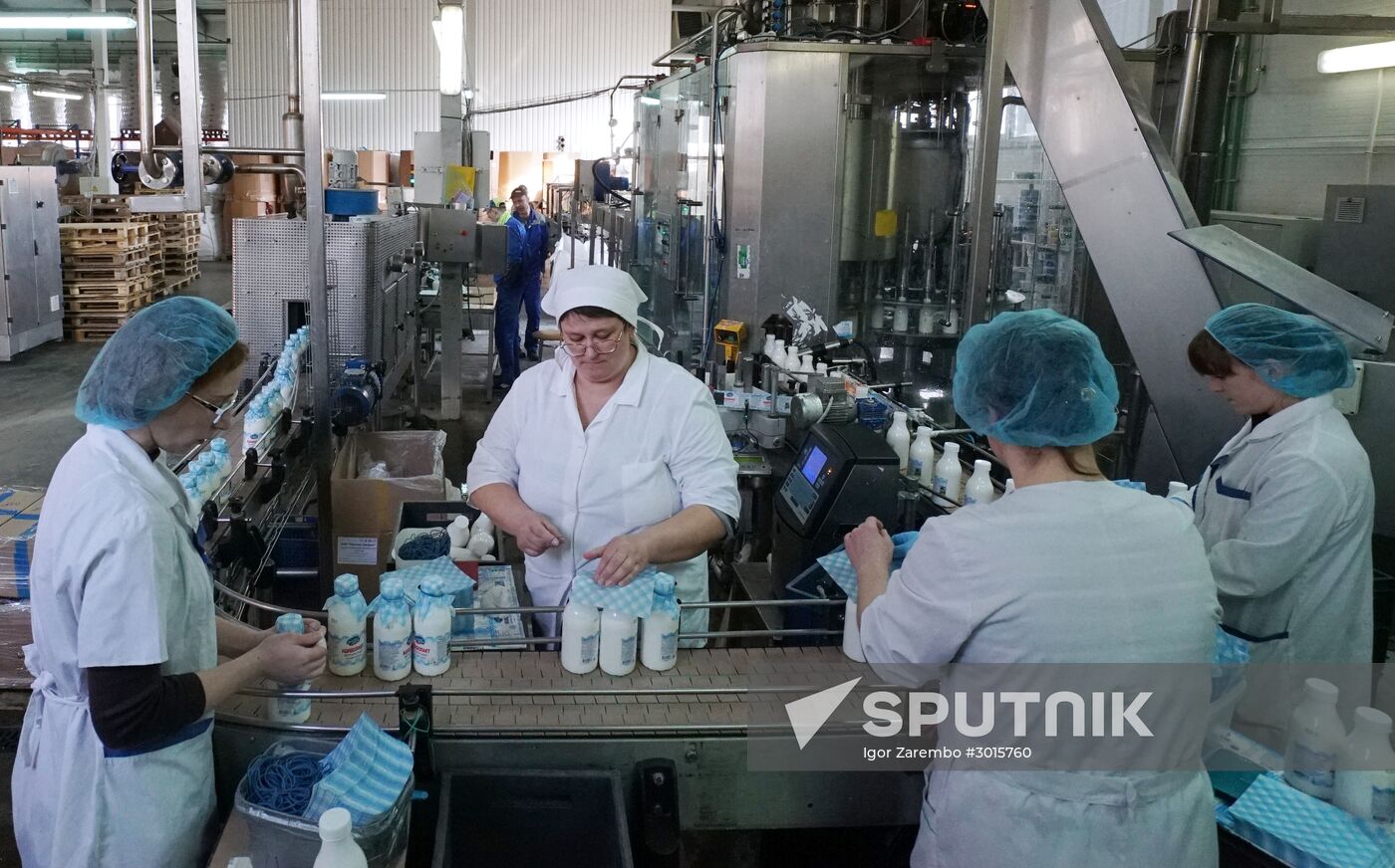 Dairy manufacturng in Kaliningrad Region