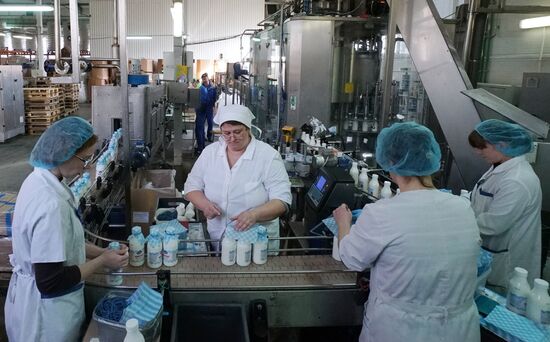 Dairy manufacturng in Kaliningrad Region