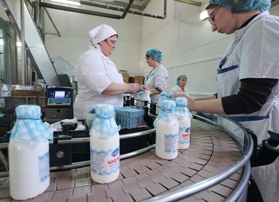 Dairy manufacturng in Kaliningrad Region