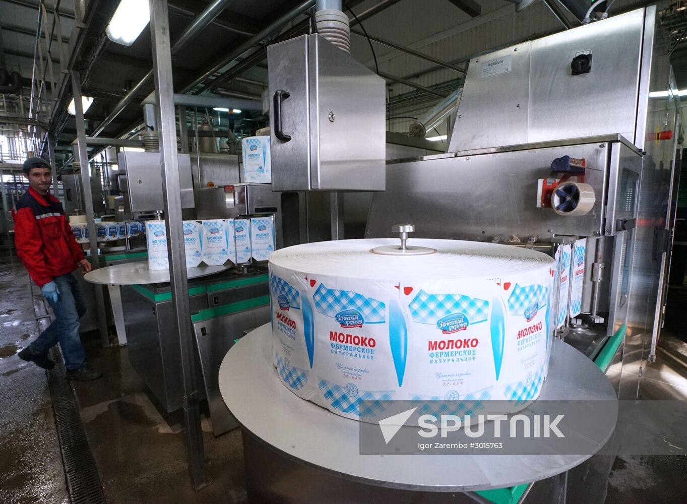 Dairy manufacturng in Kaliningrad Region