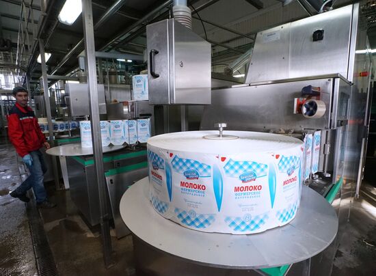 Dairy manufacturng in Kaliningrad Region