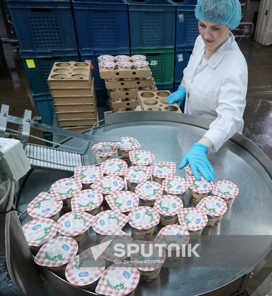 Dairy manufacturng in Kaliningrad Region