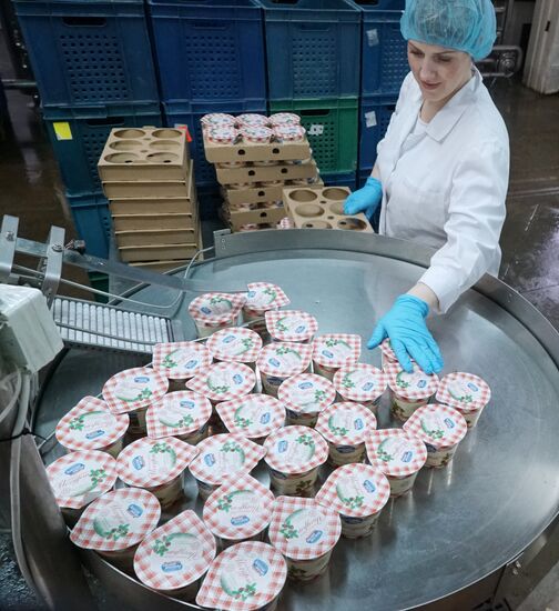 Dairy manufacturng in Kaliningrad Region