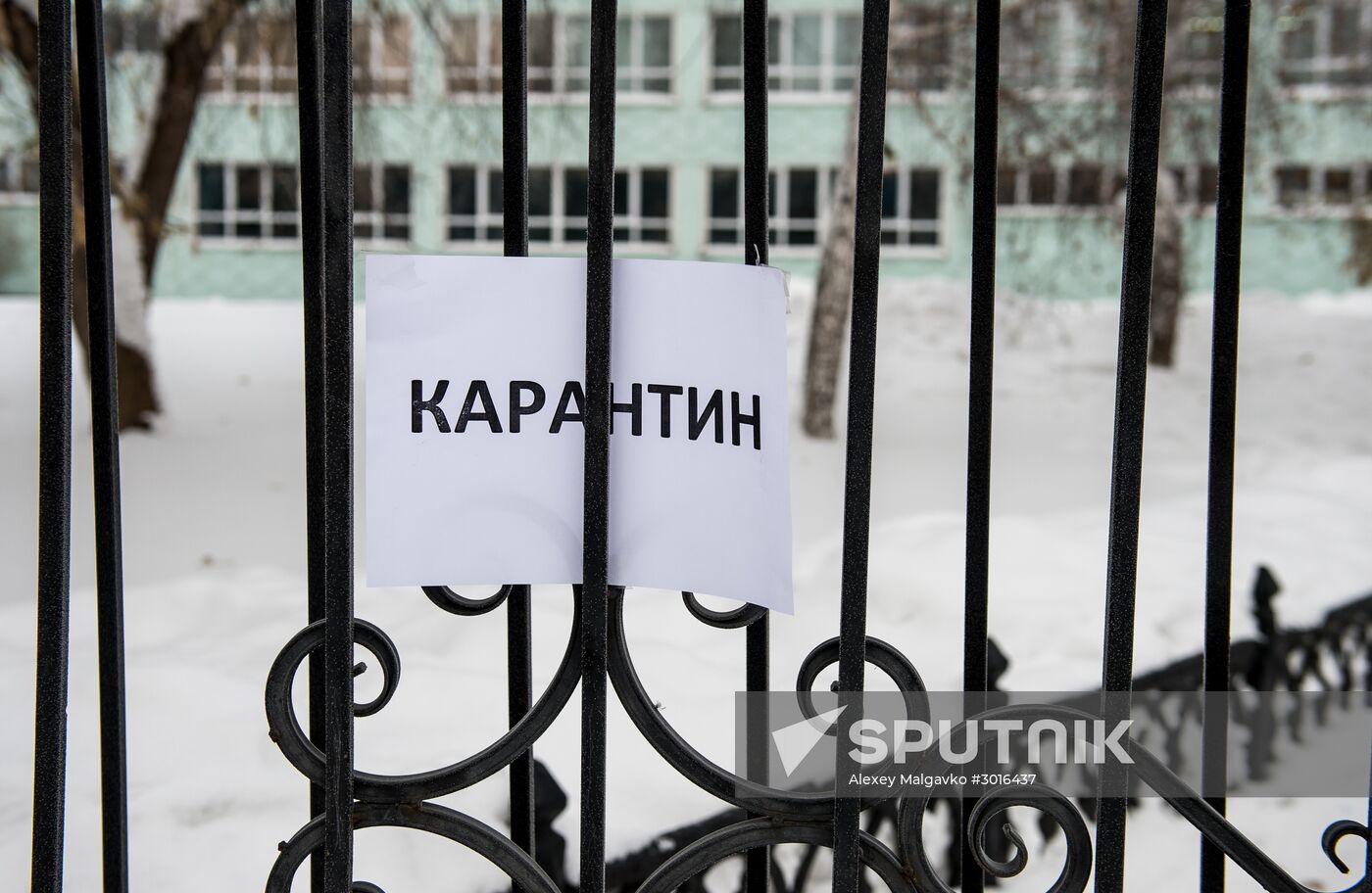 Omsk schools closed for flu