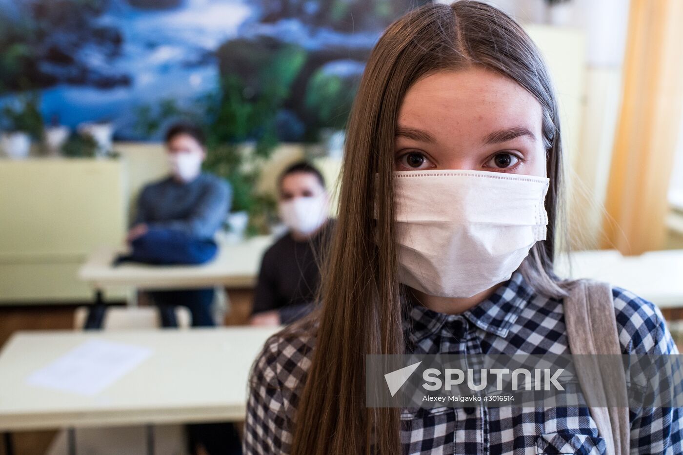 Omsk schools closed for flu