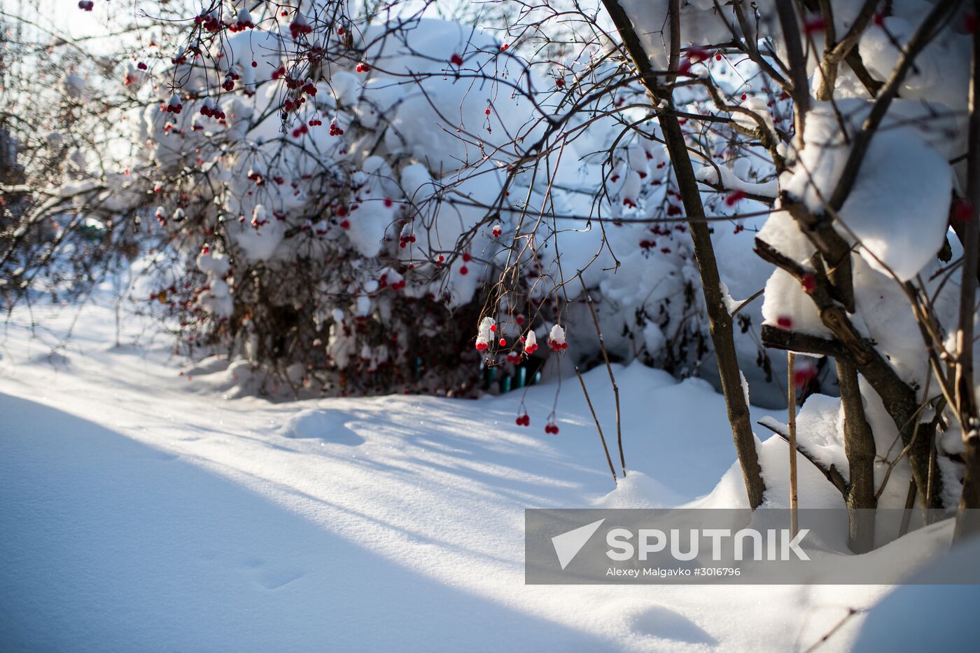 Winter in Omsk Region