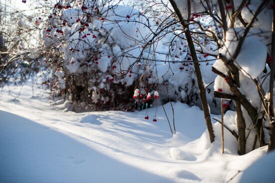 Winter in Omsk Region