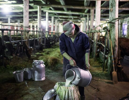 Winter in Omsk Region