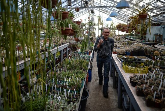 Greenhouses in the Central Siberian Botanical Garden of the Russian Academy of Sciences' Siberian Branch