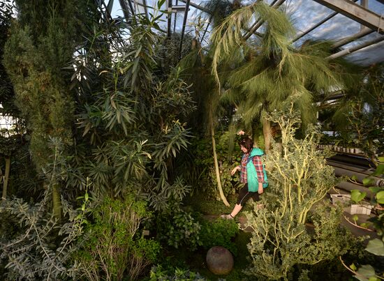 Greenhouses in the Central Siberian Botanical Garden of the Russian Academy of Sciences' Siberian Branch