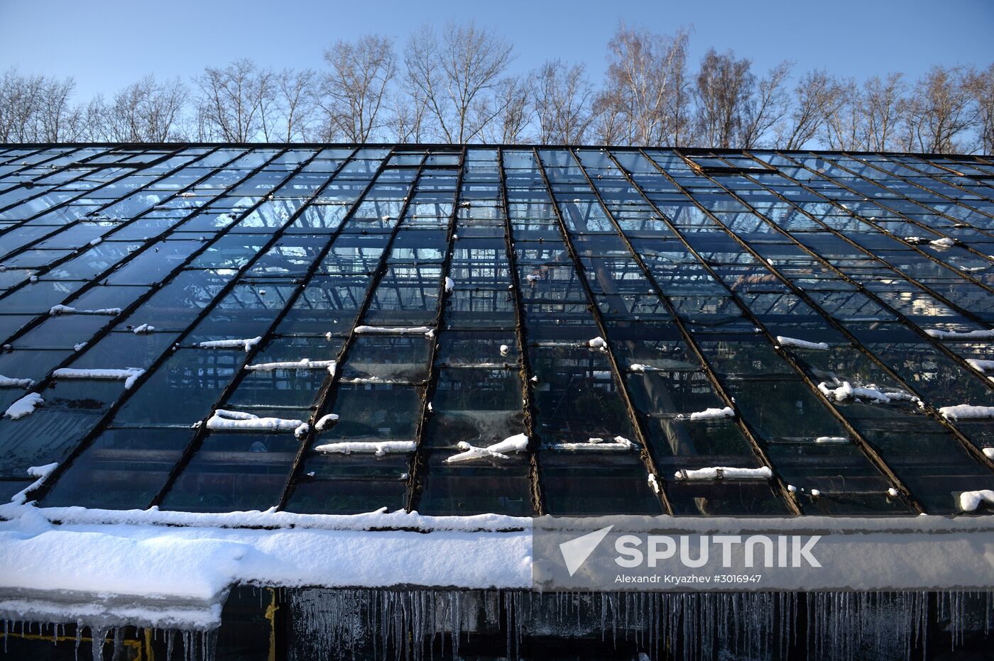 Greenhouses in the Central Siberian Botanical Garden of the Russian Academy of Sciences' Siberian Branch