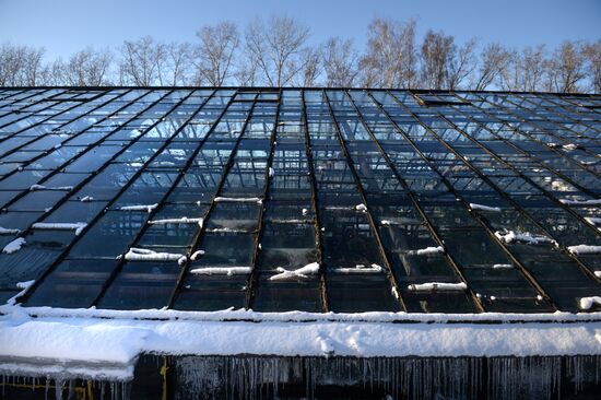 Greenhouses in the Central Siberian Botanical Garden of the Russian Academy of Sciences' Siberian Branch