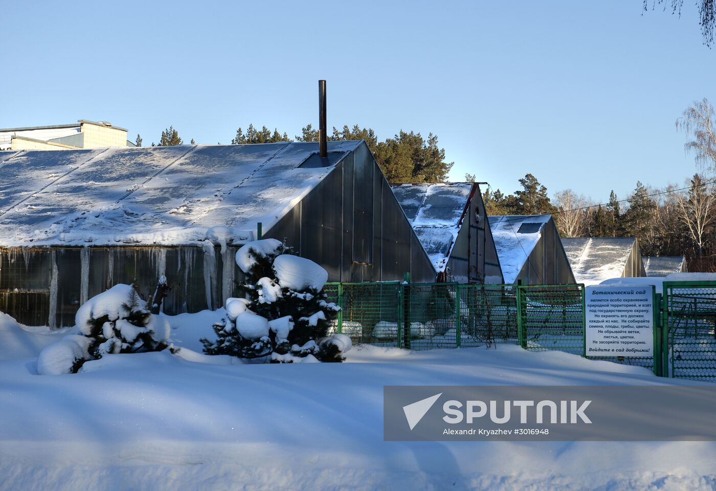 Greenhouses in the Central Siberian Botanical Garden of the Russian Academy of Sciences' Siberian Branch